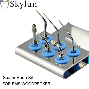  Стоматологический ультразвуковой скалер Комплект наконечников Scaler Endo Kit Серебряные наконечники E0 E1 E2 E3 P4D E3D Подходят EMS WOODPECKER AT13