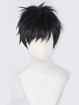  Haikyuu!! Hajime Iwaizumi, парик из волос Sawamura Daichi, Короткие черные прямые термостойкие парики для косплея, костюм