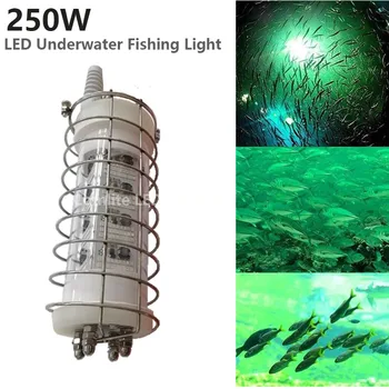  Нержавеющая Клетка Защищает 250 Вт Светодиодную Водонепроницаемую Рыболовную Приманку Light Взрывозащищенная Глубокая Подводная Приманка Для Рыбы Bait Lamp